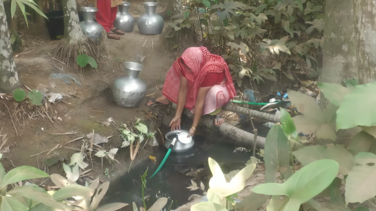 নাগরিক সুবিধা নেই, অভিযোগ পিরোজপুর পৌরবাসীর