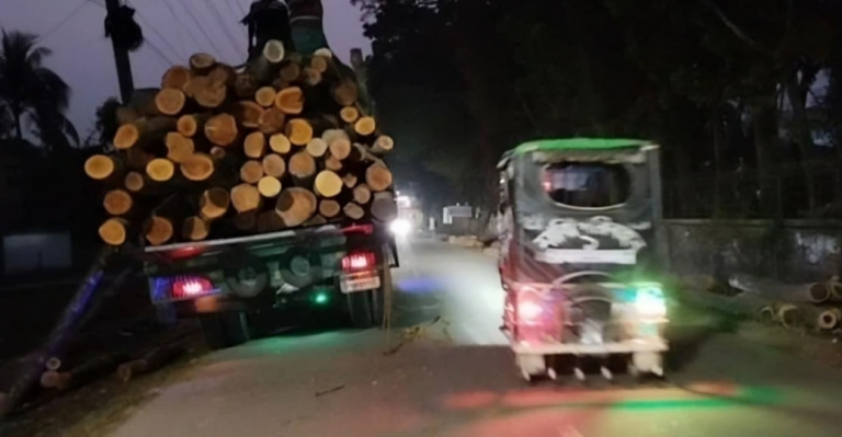 দুমকিতে সড়কের পাশে ব্যবসায়ীদের দখলে বিপদে পথচারীরা