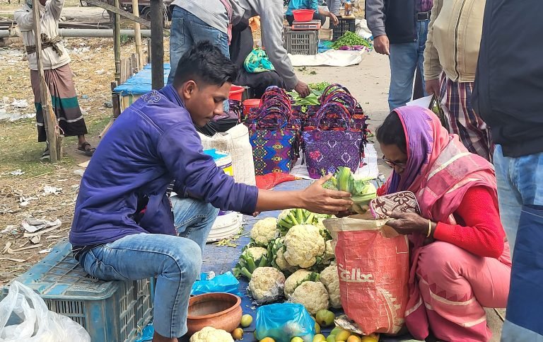 দুই-আড়াই টাকার ফুলকপি হাত বদলে পটুয়াখালীতে ২৫-৩০ টাকা