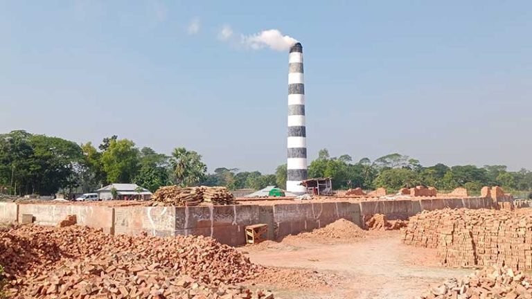 পটুয়াখালীর ৪৭টি ইটভাটার মধ্যে ১৬টি অবৈধ, হুমকিতে পরিবেশ ও কৃষি জমি