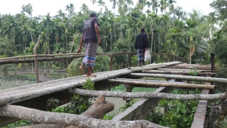 মঠবাড়িয়ায় জরাজীর্ণ সেতু, ১৩ বছরের দুর্ভোগ