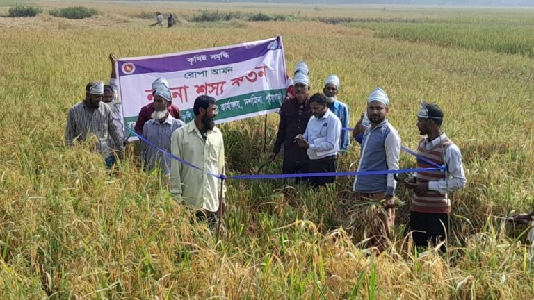 পটুয়াখালীর দশমিনায় শস্য কর্তন ও মাঠ দিবস অনুষ্ঠিত