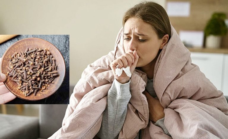 লবঙ্গের মসলার গুণে শীতের কাশি কমবে!