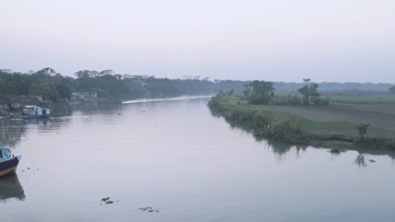 লবণাক্ততায় বিপর্যস্ত বরিশালের কৃষি