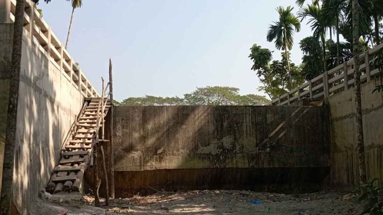 পিরোজপুরে কাঠের সিঁড়ি বেয়ে সেতু পার, ১৩ গ্রামের মানুষের দুর্ভোগ