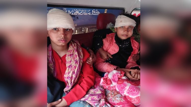 পিরোজপুরে ঘুমন্ত তিনজনকে কুপিয়ে মারাত্মকভাবে জখম