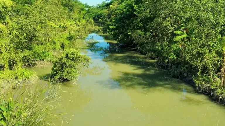 দুমকির মুরাদিয়া নদী: এক সময়ের খরস্রোতা, আজ মরা খাল