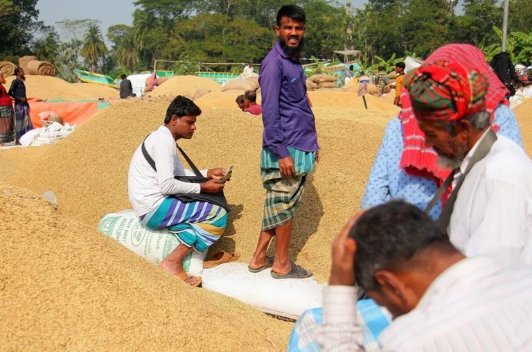 ধানের দামে ধস, হতাশ পটুয়াখালীর কৃষকরা