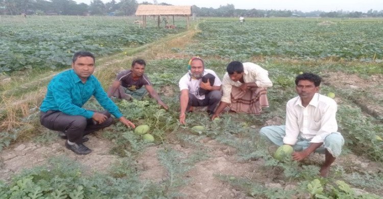 দশমিনায় জমিজমার চাষে তরমুজ ও ক্ষীরার সম্ভাবনার বড় পরিবর্তন
