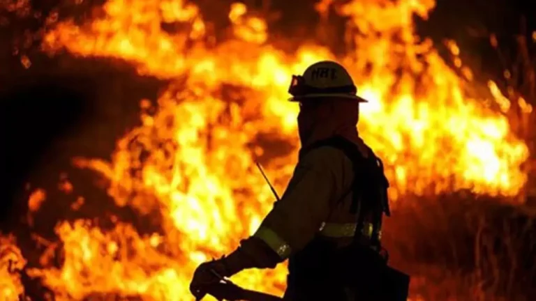 পঙ্গু হাসপাতালের আইসিইউতে আগুন