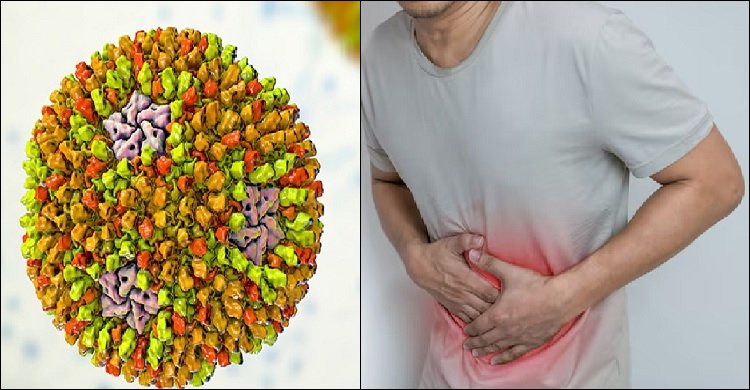 দেশে প্রথম রিওভাইরাস শনাক্ত, কি জানা উচিত