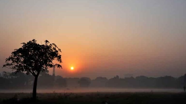 জানুয়ারিতে বিদায় নিচ্ছে শীত