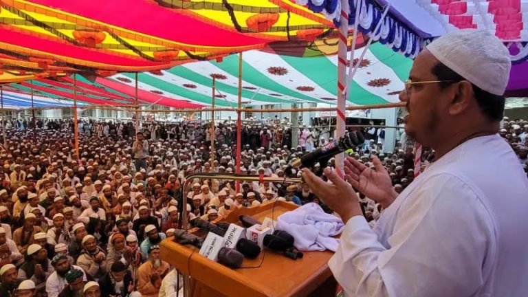 ৫৩ বছর যারা দেশ পরিচালনা করেছে, তারা আমাদের ধোঁকা দিয়েছে : চরমোনাই পীর