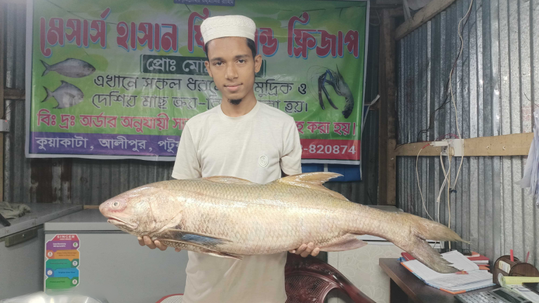 কুয়াকাটায় জেলের জালে ১০ কেজি ওজনের লাক্ষা মাছ