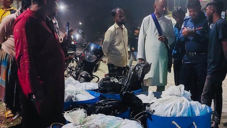 বাউফলে তিনটি বাসে অভিযান, ১৪ মণ জাটকা জব্দ