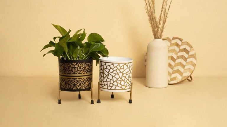 যে গাছগুলো ঘরে রাখা উপকারী