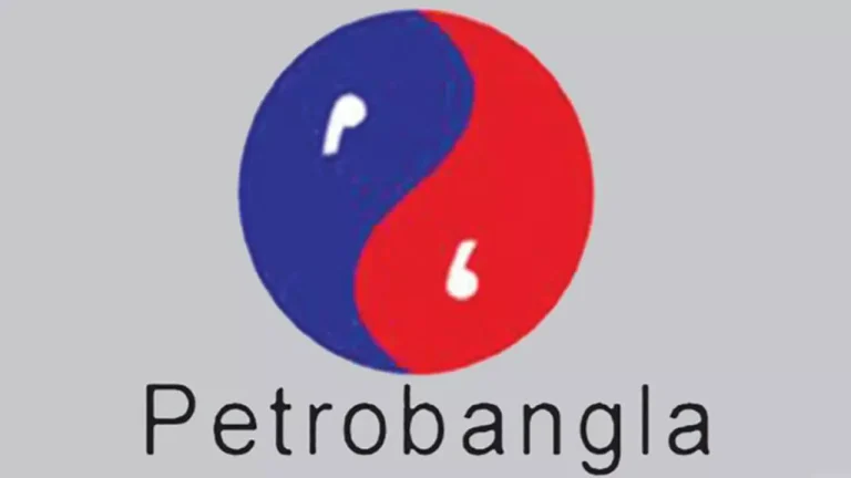 গ্যাস সংকটের আশঙ্কা, ২০২৬ সালে বড় বিপর্যয়?