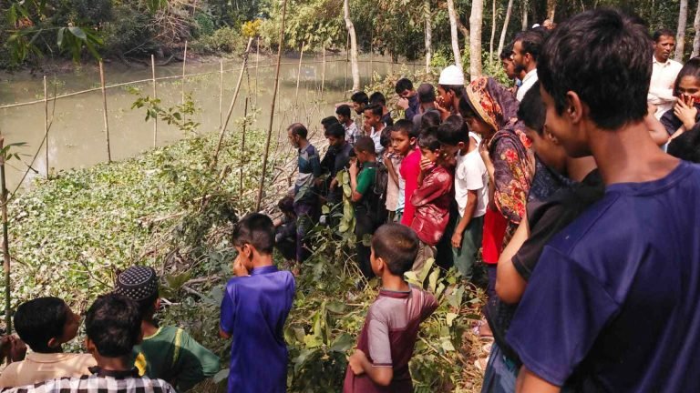 বিশ্বের চাহিদা শীর্ষে সৌদি খেজুর: এর জনপ্রিয়তা ও ভিন্ন জাতের বৈশিষ্ট্য