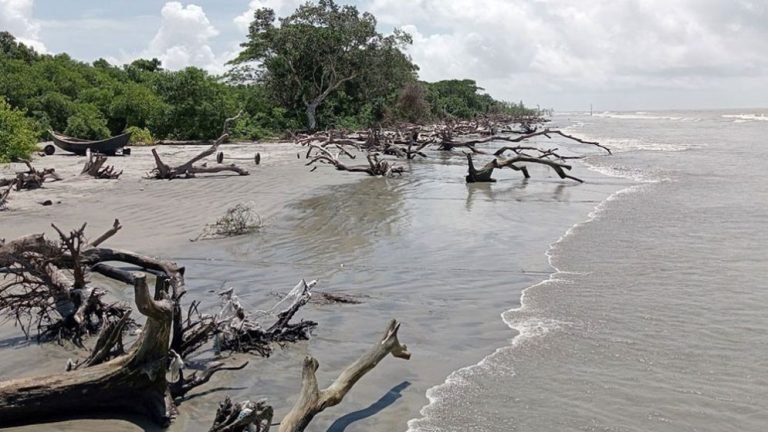 কুয়াকাটায় ভয়াবহ পরিস্থিতি: মারধর, ছিনতাই, আতঙ্কিত পর্যটকরা