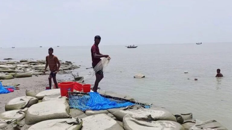 ভোলায় চিংড়ির রেনু পোনা পাচারে সক্রিয় সিন্ডিকেট