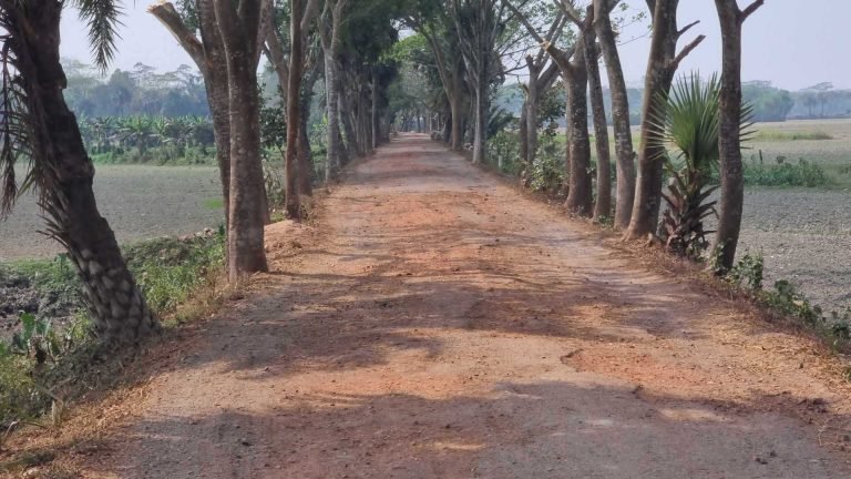 বরিশাল বিভাগের ১৫০০ কিমি গ্রামীণ সড়ক বেহাল, দুর্ভোগ চরমে