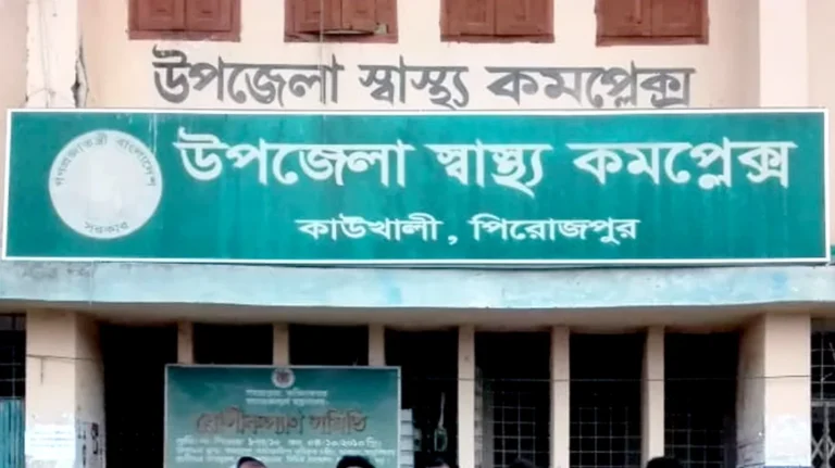 কাউখালীতে পটকা মাছ খেয়ে শিশুর মৃত্যু, ৪ নারী আশঙ্কাজনক অবস্থায়