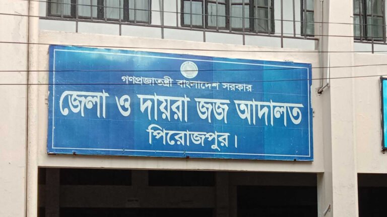 পিরোজপুরে মোবাইল গেইম না দেয়ায় বন্ধুকে হত্যা, ১৩ বছরের কারাদণ্ড কিশোরের