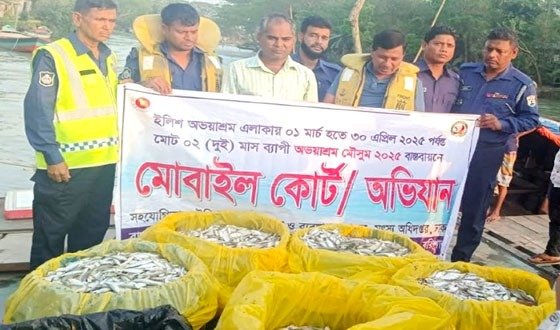 মেঘনায় বিপুল পরিমাণ জাটকা জব্দ