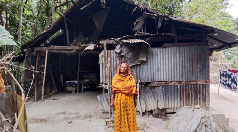 বিধবা রাজিয়া বেগমের মানবেতর জীবন: ভাঙা ঘরে দিন কাটছে একাকী