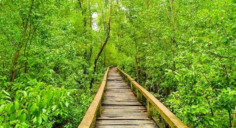 “সংস্কারের অভাবে পর্যটক হারাচ্ছে বরগুনার হরিণঘাটা”