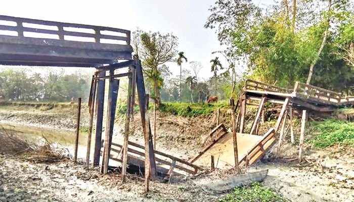 আমতলীর হলদিয়ায় অনিয়মের কারণে ১০ সেতুই ভেঙে পড়ল