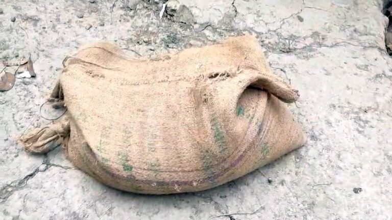 বাউফলে ভিজিএফের চাল বিতরণে জেলেদের ওপর হামলার অভিযোগ