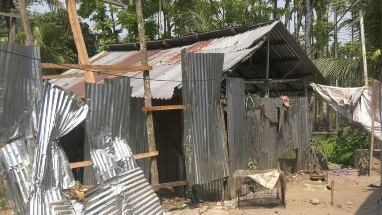 ভোলায় ১০ শতাংশ জমি নিয়ে তিন মালিকের বিরোধ, সমাধানে অচলাবস্থা