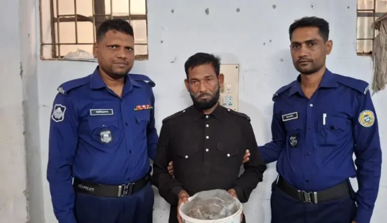 মহিপুরে ৫০০ গ্রাম গাঁজাসহ মাদক কারবারি গ্রেফতার