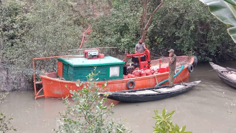 সুন্দরবনের গহীনে আগুন, নিয়ন্ত্রণে ফায়ার সার্ভিস ও বনকর্মীরা