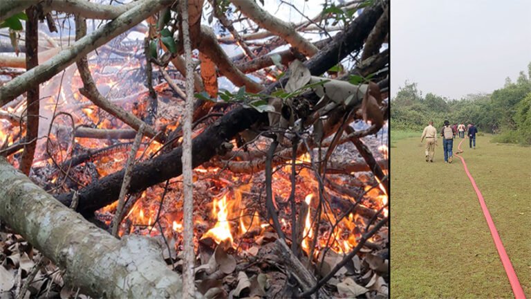 সুন্দরবনে আগুন নিয়ন্ত্রণে, পানির সংকটে বাধা
