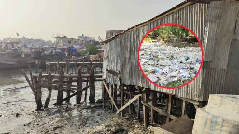 পটুয়াখালীর খাপড়াভাঙ্গা নদী সংকটে, দখল-দূষণে বিপর্যস্ত মৎস্যজীবীরা