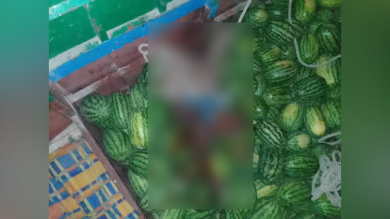 বাউফলে তরমুজবাহী ট্রলারে ডাকাতি, আট জন আহত