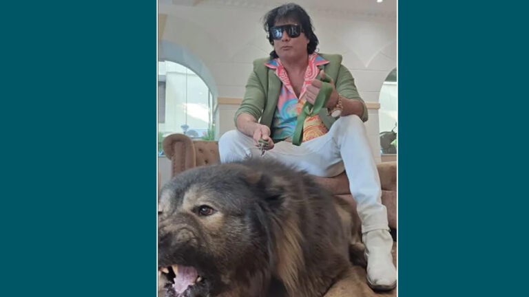 ৫০ কোটি টাকায় কুকুর কিনলেন যুবক, উলফডগের কেন এত দাম?