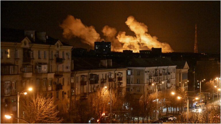 নাইজারে মসজিদে হামলায় নিহত অন্তত ৪৪