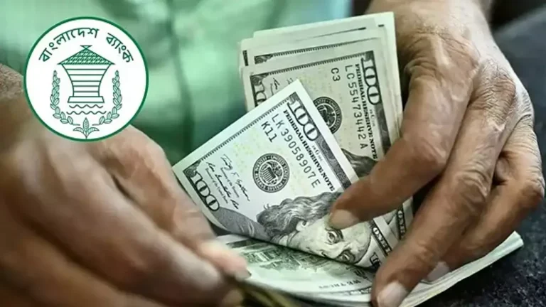 ফেব্রুয়ারিতে রেমিট্যান্স প্রবাহ ২৫২ কোটি ডলার, গত বছরের তুলনায় বৃদ্ধি