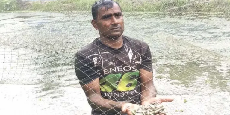 মাছের সাথে শত্রুতা! বিষ প্রয়োগে ৮৪ হাজার পোনা নিধন
