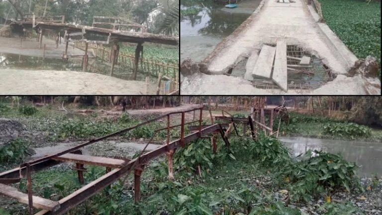 পটুয়াখালীতে ২৪২টি আয়রন ব্রিজ ঝুঁকিপূর্ণ, ভোগান্তিতে লাখো মানুষ