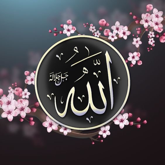 ভুলভাবে সালাম দেওয়া বিপজ্জনক! জেনে নিন সঠিক পদ্ধতি