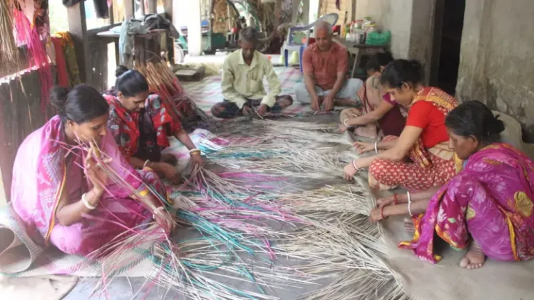 বৈশাখ সামনে, শীতল পাটি তৈরিতে দিনরাত ব্যস্ত ‘পাটিকর গ্রাম’