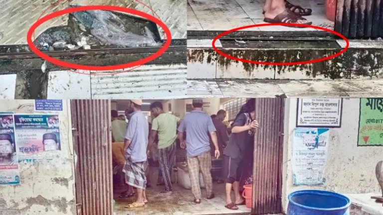 ছয় মাসেই ভেঙে পড়ল কলাপাড়ার নতুন মাছ বাজার ভবন