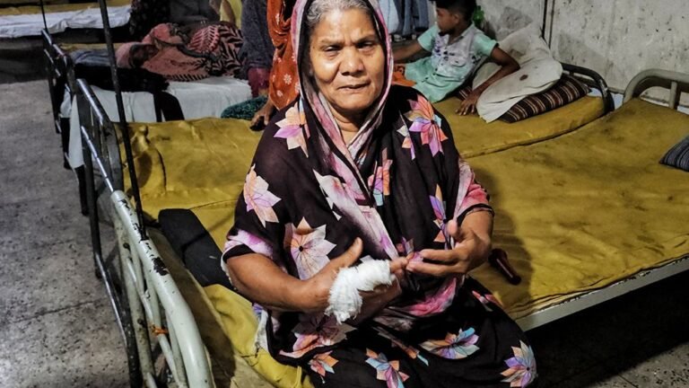 পটুয়াখালীতে মাকে কুপিয়ে জখম, ছেলেসহ তিনজনের বিরুদ্ধে মামলা