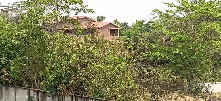 বরিশালে কমদামে বিক্রি হচ্ছে আওয়ামী লীগ নেতাদের বাড়ি ও জমি