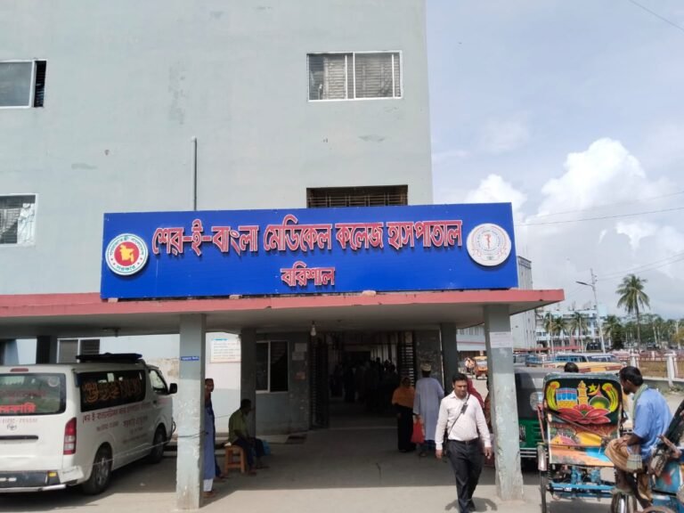 বরিশালে ডেঙ্গুতে আরও দুইজনের মৃত্যু, বাড়ছে শঙ্কা