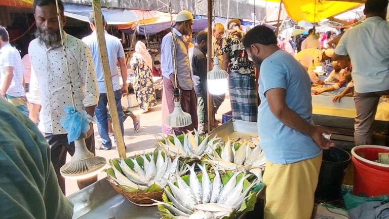 ইলিশের আকাশচুম্বী দামে পান্তা-ইলিশ এখন স্বপ্ন!